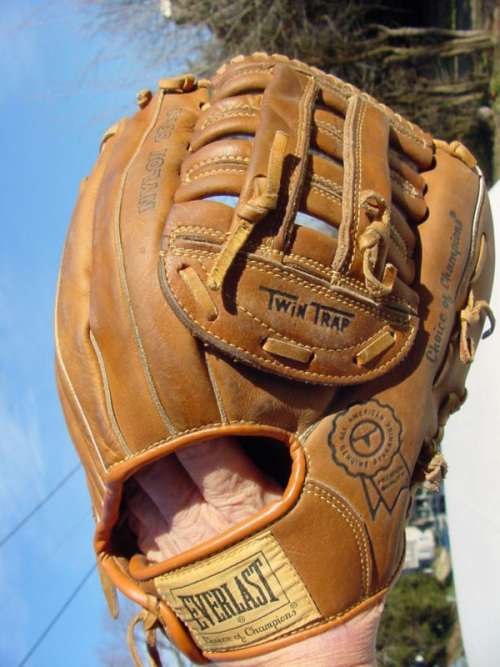 Everlast 520 Back